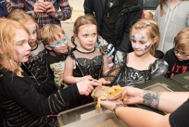 Handling creepy creatures with Exeter Exotics
